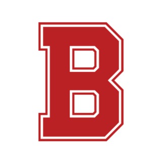 Логотип @project_best_speakers - Проект ЛУЧШИЕ СПИКЕРЫ