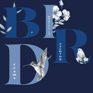 Логотип @project_bird - BIRD