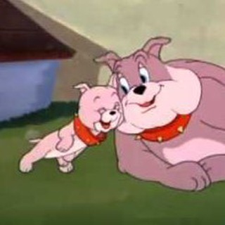 Логотип @project_boris - Я - Борис!