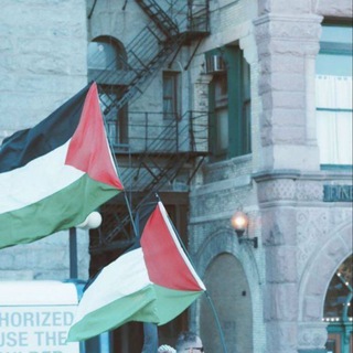 Логотип @project_dawah - ProjectDawah