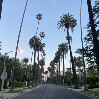 Логотип @project_em - Прожектор Эмиграции