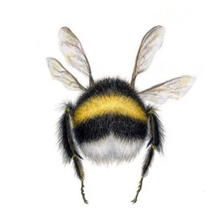 Логотип @projectbumblebee - “BumBleBee” 🐝 Доска объявлений всех направлений