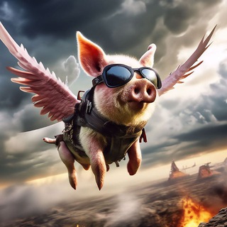 Логотип @projectchjyf - Переходник