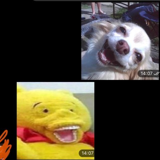 Логотип @projectdivas - лучшие проджекты на свете ☣️🐁