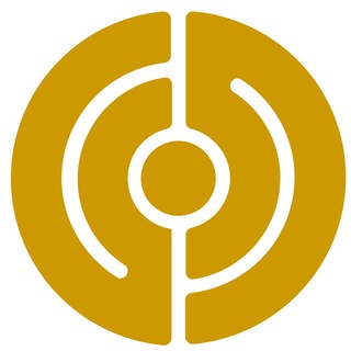 Логотип @projecticoin_group - iCoin International