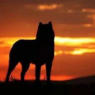 Логотип @prokuror_alexei - Алексей Прокурор