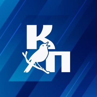 Логотип @prokursk_chat - Чат | Курская правда