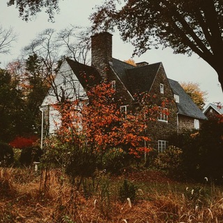 Логотип @promagiu - Магия вне Хогвартса