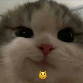 Логотип @promema - ПРО мемы