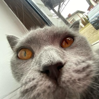 Логотип @promo2342 - Программы / Читы на игры.