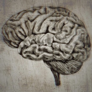 Логотип @promozg2u - Pro.МОЗГ