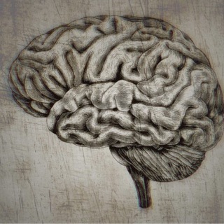 Логотип @promozgu - Pro.МОЗГ