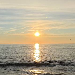 Логотип @pronedvizj - НЕДВИЖИМОСТЬ СОЧИ