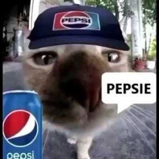 Логотип @proofspepsa - ୨༻ᴨᴩуɸы ᴨᴇᴨᴄЫ༺୧