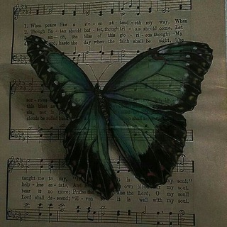 Логотип @proofwolf401 - .