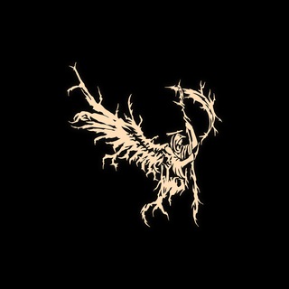 Логотип @proovyfam - PROOVY