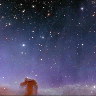 Логотип @prophetischerpolsprung - Hier und jetzt, Polsprung und Prophezeiungen