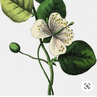 Логотип @prorukodelkibooks - Pro Рукоделие | Архив книг