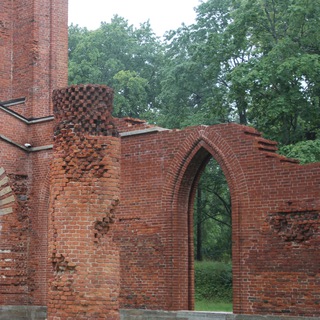 Логотип @prosady - Про сады. И не только