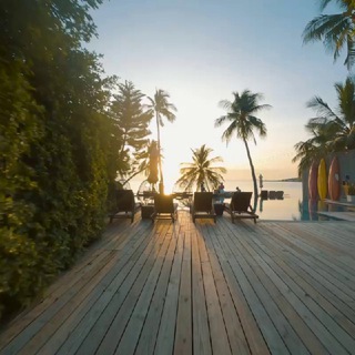 Логотип @prosamui - Prosamui