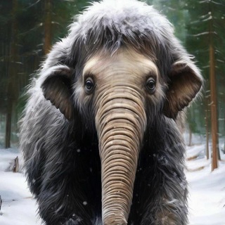 Логотип @proshloefot0 - Фото из прошлого 📸