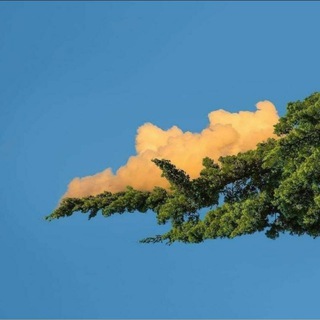 Логотип @prosmotri2 - просмотры❤