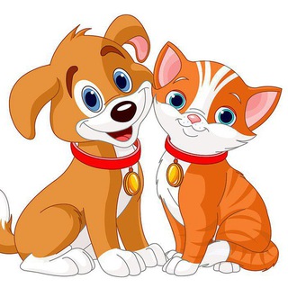 Логотип @prostakvashinoo_2016 - Prostakvashino_2016