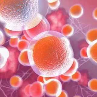 Логотип @prostogsk - Просто о стволовых клетках