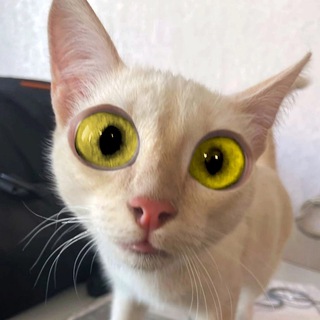 Логотип @prostokopetsk - ПростоКопецк!🙀