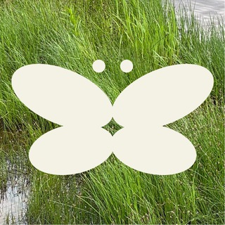 Логотип @prostononet - Просто, но не просто