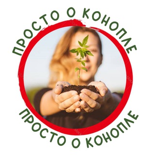Логотип @prostookonople - Просто о конопле
