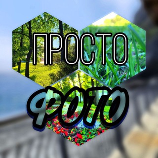 Логотип @prostophotophone - Просто ФОТО📸