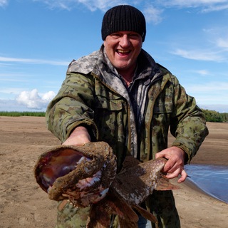 Логотип @protaygu - Хозяева тайги - PROтайгу