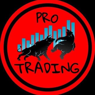 Логотип @protrading61 - PRO TRADING