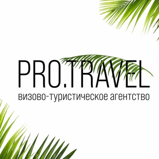 Логотип @protravelnsk - PRO.TRAVEL
