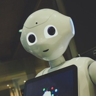 Логотип @provbotovv - Проверка ботов 🤖