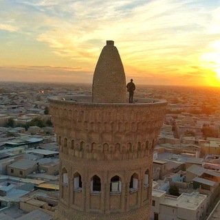 Логотип @provedu - provedu