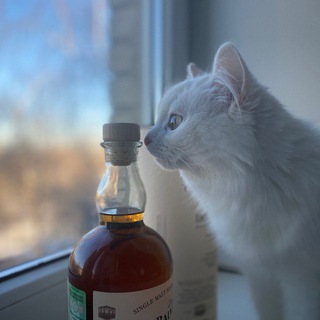 Логотип @prowhisky - Pro Whisky