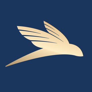 Логотип @proyachting - PROyachting