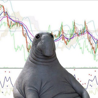 Логотип @proz_trading - Прозрачный трейдинг