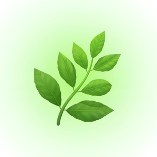 Логотип @prozdoroviechannel - 🌿Канал про здоровье