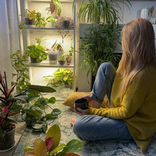 Логотип @prozeleno - ProЗеленое