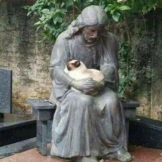 Логотип @prrrmwmodofkf - Для срачей на моей лужайке