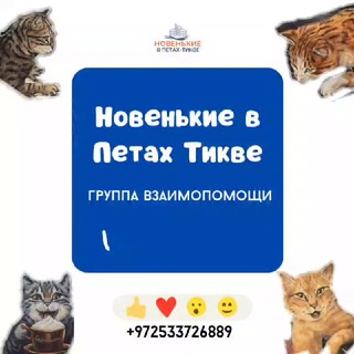 Логотип @prsvet - Чат для связи °Новенькие от Анастасии Светлой 🔝