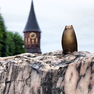 Логотип @prussiancat - Прусский Кот