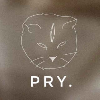 Логотип @pry_world - PRY.