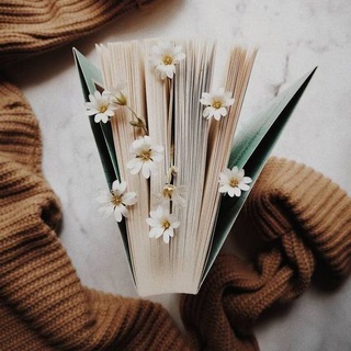 Логотип @pschmemmt - Психология\Мемы\ Мотивация🫶