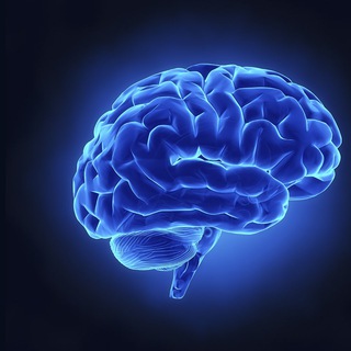 Логотип @psiho_logium - Психология & Психотерапия