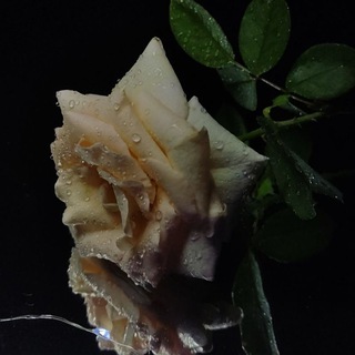 Логотип @psihology5315 - Психология