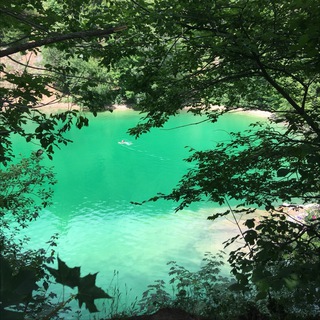 Логотип @psikholog - психолог